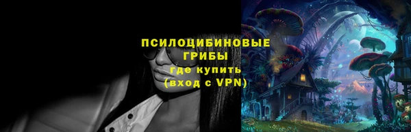 дмт Майский