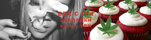 прущие грибы Абаза