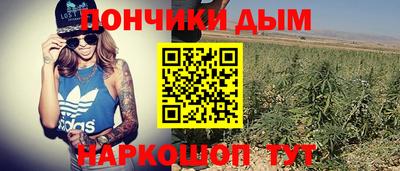 ECSTASY Кингисепп