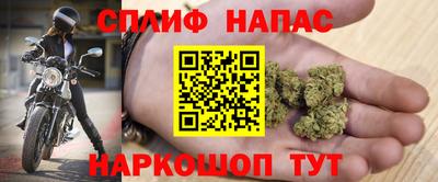 гашик Бузулук