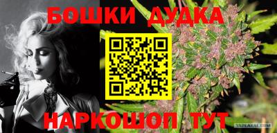 ECSTASY Кингисепп