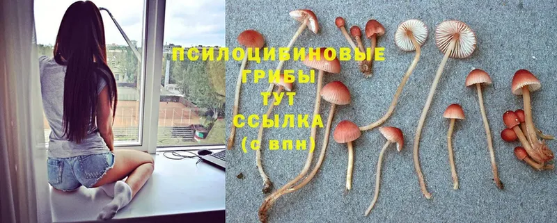 Псилоцибиновые грибы Magic Shrooms  хочу наркоту  Майский 