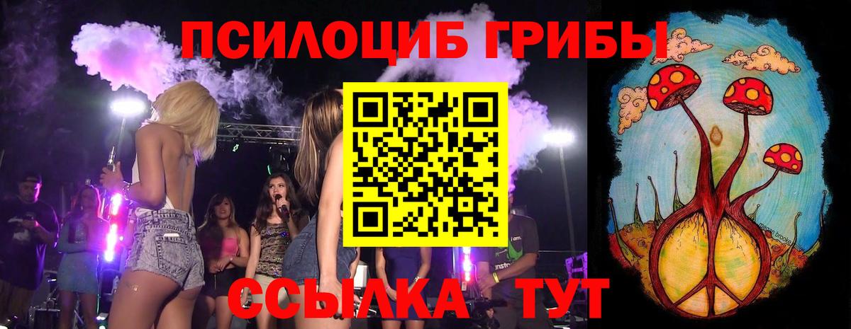 Псилоцибиновые грибы GOLDEN TEACHER Майский